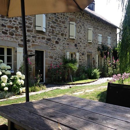 B&B Maison Coralie Sainte-Christine  Bagian luar foto
