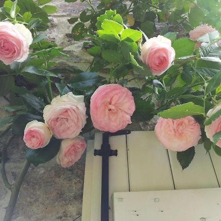 B&B Maison Coralie Sainte-Christine  Bagian luar foto